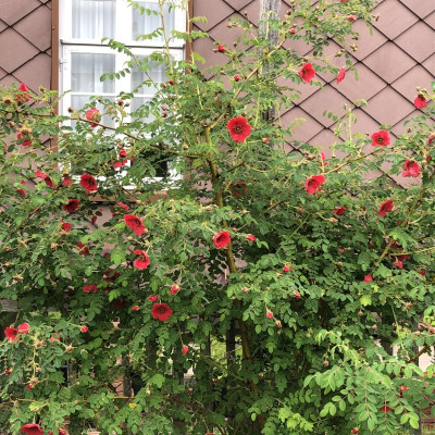 IMG_5846.JPEG