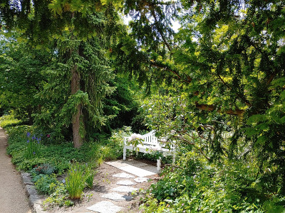 Foerstergarten20230607_115938.jpg