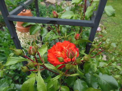20150614_1018.JPG