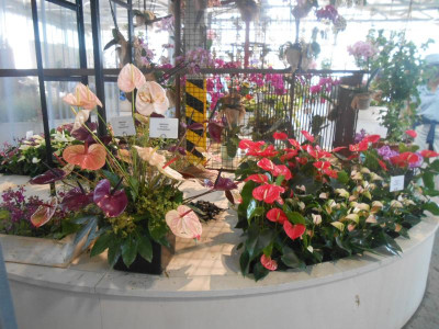 DSCN6036.JPG