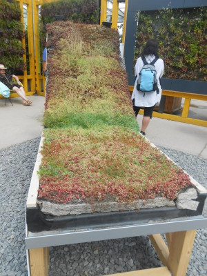 DSCN6033.JPG