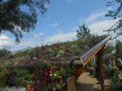 DSCN6053.JPG