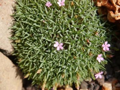 P1120230.JPG