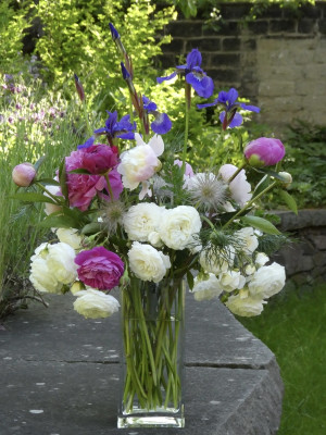 geburtstagsblumen.jpg