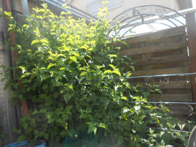 DSCN5994.JPG