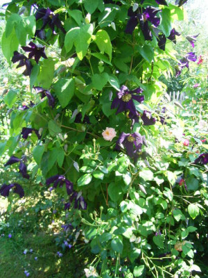 08_06_04.jpg