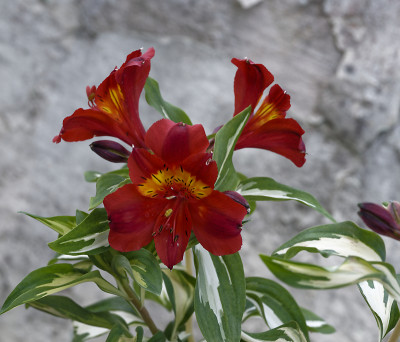 DSC_7666_DxO.jpg