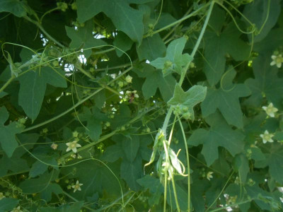 DSCN5944.JPG