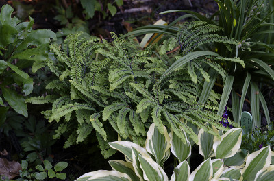 DSC_7661_DxO.jpg