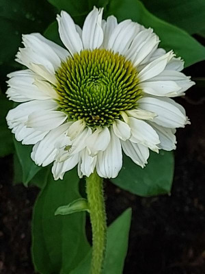 20230612_193042.jpg