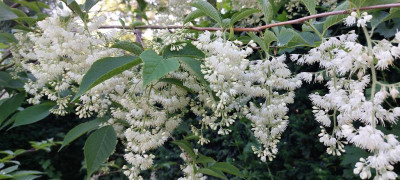 20230613_090049.jpg
