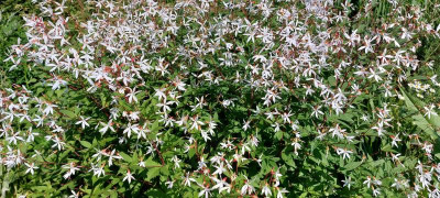 20230613_090231.jpg