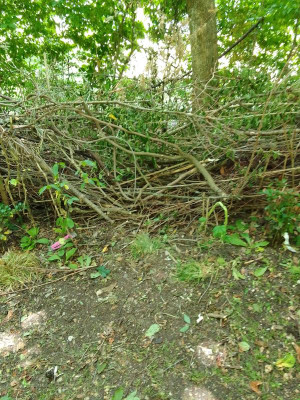 Holzstapel.jpg