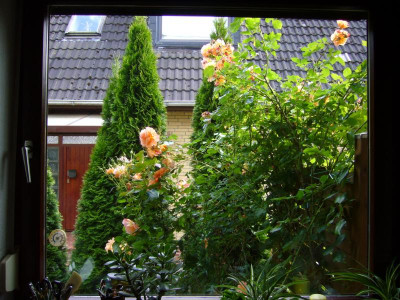 Küchenfenster 2.JPG