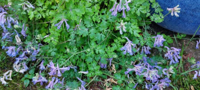 20230615_101231.jpg