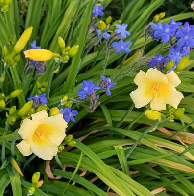 20230616_181219.jpg