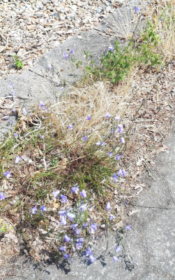 20230618_140759.jpg