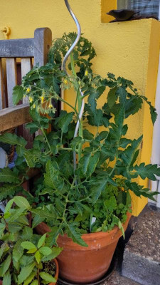 IMG-20230612-WA0002.jpg
