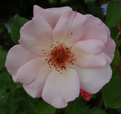 Meg_0010__G_27057.jpg