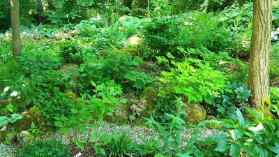 IMG_20230620_101505.jpg