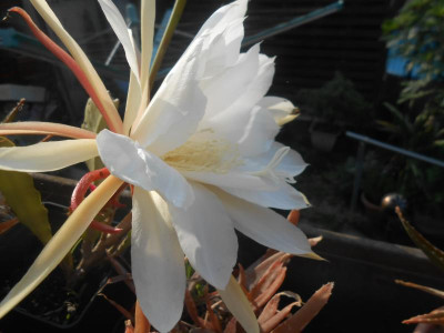 DSCN6200.JPG