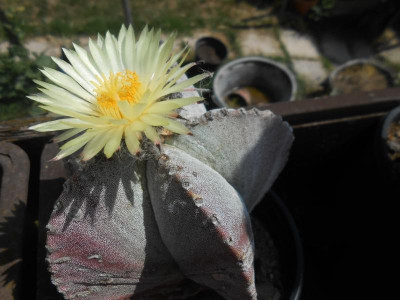 DSCN6188.JPG