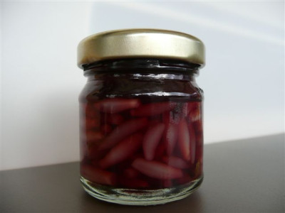 Baerlauchzwiebelchen_in_Rotwein.12.06.2008.00.JPG