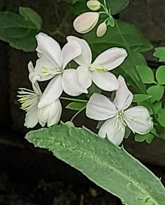 20230623_102114.jpg