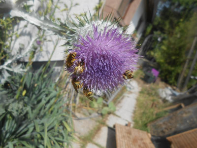 DSCN6228.JPG