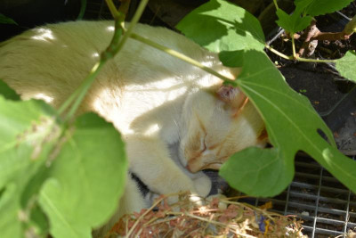 DSC_0332.JPG