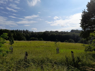 brinkplak23endejuni.jpg