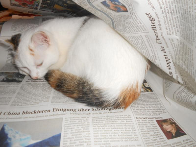 DSCN5075.JPG