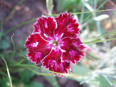 unique_2008.jpg