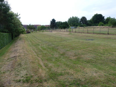 2023-06-23 Garteneinblick 2.jpg