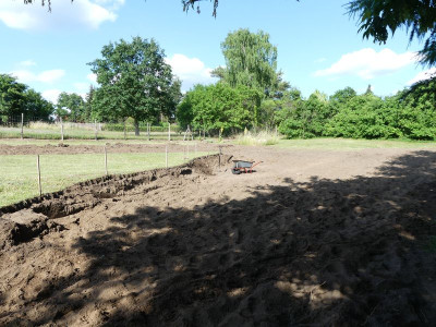 2023-06-24 Garteneinblick 3.jpg