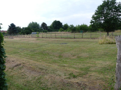 2023-06-23 Garteneinblick 3.jpg