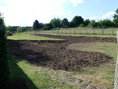 2023-06-24 Garteneinblick 7.jpg