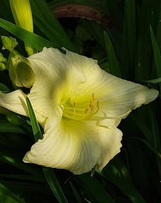 20230626_094642.jpg