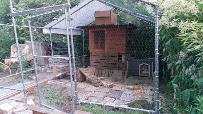 IMG-20230621-WA0008.jpeg