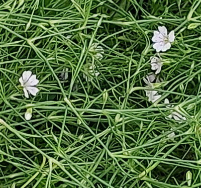 20230626_110155.jpg