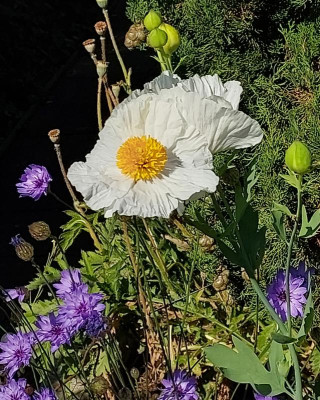 20230627_094457.jpg