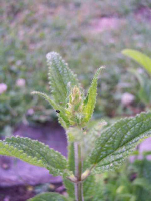 K640_100_5316.JPG