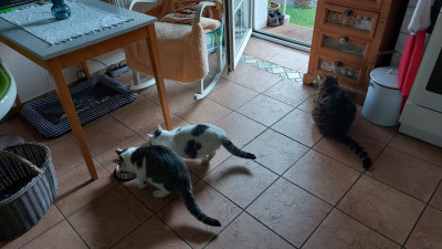 IMG-20230601-WA0001.jpeg