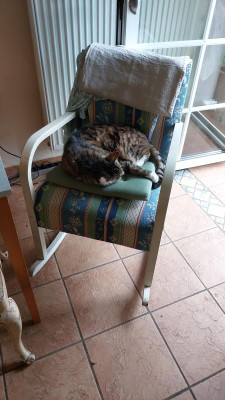 IMG-20230623-WA0013.jpeg