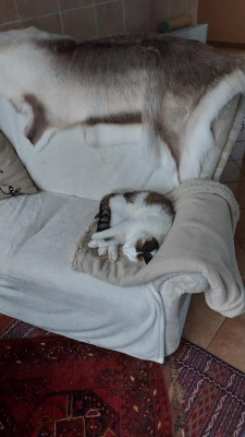 IMG-20230623-WA0017.jpeg