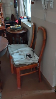 IMG-20230623-WA0015.jpeg