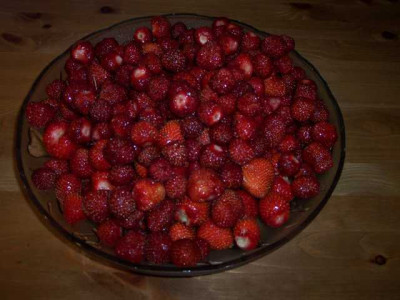 K640_100_5318.JPG