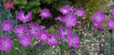 DSC_7757_DxO.jpg