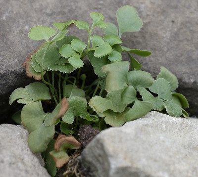 DSC_7765_DxO.jpg