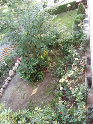 20230627_102113.jpg
